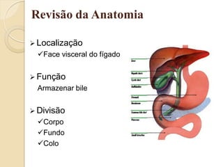 Revisão da Anatomia

 Localização
 Face visceral do fígado


 Função
 Armazenar bile


 Divisão
 Corpo
 Fundo
 Colo
 