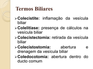 Termos Biliares
 Colecistite:   inflamação da vesícula
  biliar
 Colelitíase: presença de cálculos na
  vesícula biliar
 Colecistectomia: retirada da vesícula
  biliar
 Colecistostomia:       abertura     e
  drenagem da vesícula biliar
 Coledocotomia: abertura dentro do
  ducto comum
 