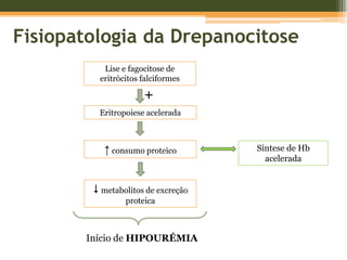 Fisiopatologia da DrepanocitoseEritrócitos falciformes ↑ expressão moléculas adesão