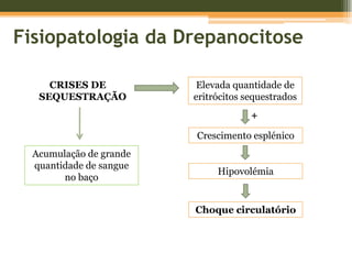 Fisiopatologia da DrepanocitoseLise e Fagocitose de eritrócitos falciformes+Hemólise prematura das células falciformes↓ nº eritrócitos+Baixa pressão O2 tecidual↑ degradação do heme↑ produção EPO↑ produção bilirrubinaEstimulação precursores eritróidesHIPERBILIRRUBINÉMIARETICULOCITOSE