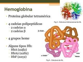 HemoglobinaProteína globular tetramérica4 cadeias polipeptídicas2 cadeias α2 cadeias β4 grupos hemeAlguns tipos Hb:HbA (α2β2)HbA2 (α2δ2)HbF (α2γ2)Fig.3 – Estrutura tridimensional da Hb.Fig.4 – Estrutura da Hb.