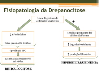 Factores que afectam a falcemizaçãoQuantidade de HbS e a interacção com outras cadeias de Hb na célula[Hb] na célula (MCHC)pH↑ 2,3 – BPGTempo a que os eritrócitos são expostos à baixa tensão de O2