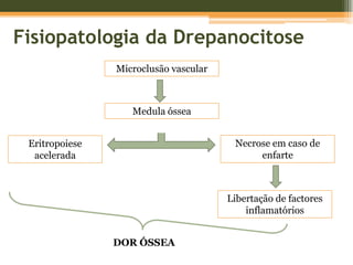 Fisiopatologia da DrepanocitoseAUTOESPLENECTOMIAOs fenómenos de sequestração eritrocitária e congestão levam à hipóxia, tromboses esplénicas e isquémia com enfartes.