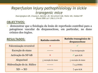 Estimulação da actividade do baçoManifestações clínicasAnemia hemolítica