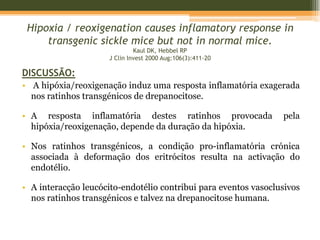 Anemia muito agravada em situações de eritropoiese suprimida      Ácido fólico      Infecção (Ex: parvovírus B19)Fig.18 – Parvovírus.