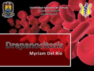 Universidad Autónoma de Coahuila Facultad de Medicina Unidad Torreón Drepanocitosis Myriam Del Río 
