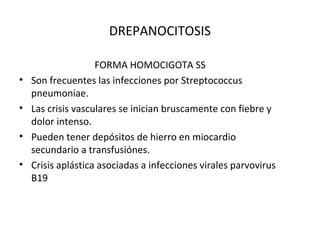 DREPANOCITOSIS

                    FORMA HOMOCIGOTA SS
•   Son frecuentes las infecciones por Streptococcus
    pneumoniae.
•   Las crisis vasculares se inician bruscamente con fiebre y
    dolor intenso.
•   Pueden tener depósitos de hierro en miocardio
    secundario a transfusiónes.
•   Crisis aplástica asociadas a infecciones virales parvovirus
    B19
 