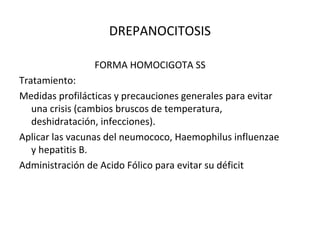 DREPANOCITOSIS

                FORMA HOMOCIGOTA SS
Tratamiento:
Medidas profilácticas y precauciones generales para evitar
   una crisis (cambios bruscos de temperatura,
   deshidratación, infecciones).
Aplicar las vacunas del neumococo, Haemophilus influenzae
   y hepatitis B.
Administración de Acido Fólico para evitar su déficit
 