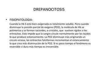 DREPANOCITOSIS

• FISIOPATOLOGIA:
  Cuando la Hb S está bien oxígenada es totalmente soluble. Pero cuando
  disminuye la presión parcial de oxígeno (PO2), la molécula de Hb se
  polimeriza y se forman tactoides, o cristales, que vuelven rígidos a los
  eritrocitos. Esto impide que la sangre circule normalmente por los tejidos
  lo que produce estancamiento. La PO2 disminuye más originando un
  circulo vicioso, los eritrocitos falciformes incrementan el estancamiento
  lo que crea más disminución de la PO2. Si es poco tiempo el fenómeno es
  reversible si dura más tiempo es irreversible.
 