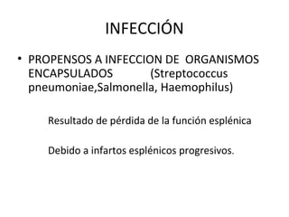 INFECCIÓN
• PROPENSOS A INFECCION DE ORGANISMOS
  ENCAPSULADOS        (Streptococcus
  pneumoniae,Salmonella, Haemophilus)

    Resultado de pérdida de la función esplénica

    Debido a infartos esplénicos progresivos.
 