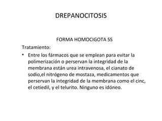 DREPANOCITOSIS


               FORMA HOMOCIGOTA SS
Tratamiento:
• Entre los fármacos que se emplean para evitar la
   polimerización o perservan la integridad de la
   membrana están urea intravenosa, el cianato de
   sodio,el nitrógeno de mostaza, medicamentos que
   perservan la integridad de la membrana como el cinc,
   el cetiedil, y el telurito. Ninguno es idóneo.
 