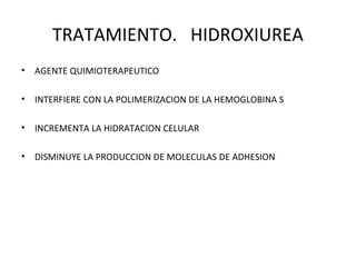 TRATAMIENTO. HIDROXIUREA
•   AGENTE QUIMIOTERAPEUTICO

•   INTERFIERE CON LA POLIMERIZACION DE LA HEMOGLOBINA S

•   INCREMENTA LA HIDRATACION CELULAR

•   DISMINUYE LA PRODUCCION DE MOLECULAS DE ADHESION
 