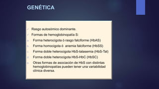 GENÉTICA
 Rasgo autosómico dominante.
 Formas de hemoglobinopatía S:
a. Forma heterocigota ó rasgo falciforme (HbAS)
b. Forma homocigota ó anemia falciforme (HbSS)
c. Forma doble heterocigota HbS-talasemia (HbS-Tal)
d. Forma doble heterocigota HbS-HbC (HbSC)
e. Otras formas de asociación de HbS con distintas
hemoglobinopatías pueden tener una variabilidad
clínica diversa.
 