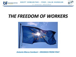 D R E P T C O M U N I TA R – P R O F. C A L I N H U R B E A N
                       1° Semester 2012/2013




THE FREEDOM OF WORKERS




   Antonio Marco Camboni – ERASMUS FROM ITALY
 