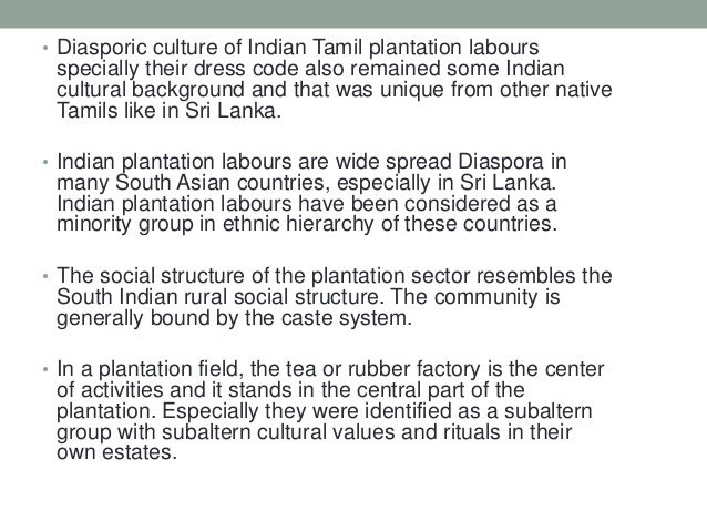 origin of the plantation system Other articles where plantation is discussed:gave statutory approval for the plantation (or resettlement of irish lands by englishmen) of leix, offaly, and other irish lordships of the central plain her viceroy was thomas radcliffe, earl of sussex, lord deputy (1556-59), who was soon, as lord lieutenant (1559-66) for elizabeth i, to. origin of the plantation system Other articles where plantation is discussed:gave statutory approval for the plantation (or resettlement of irish lands by englishmen) of leix, offaly, and other irish lordships of the central plain her viceroy was thomas radcliffe, earl of sussex, lord deputy (1556-59), who was soon, as lord lieutenant (1559-66) for elizabeth i, to.