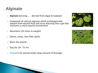  Alginate dressing…… derived from algae & seaweed
 Composed of calcium alginate which exchanged with
sodium from wound fluid and turns dressing into a gel that
maintains a moist wound environment
 Absorbent (20 times to weight)
 Sheets, strips, lose fiber packs
 Moist the wound
 Stay for 24- 72 hrs
 Indicated for wound needs large amount of drainage
 