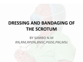 DRESSING AND BANDAGING OF
THE SCROTUM
BY SAMBO N.M
RN,RM,RPON,BNSC,PGDE,PM,MSc
 