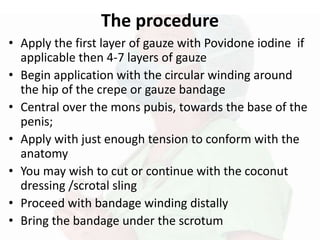 The procedure
• Apply the first layer of gauze with Povidone iodine if
applicable then 4-7 layers of gauze
• Begin application with the circular winding around
the hip of the crepe or gauze bandage
• Central over the mons pubis, towards the base of the
penis;
• Apply with just enough tension to conform with the
anatomy
• You may wish to cut or continue with the coconut
dressing /scrotal sling
• Proceed with bandage winding distally
• Bring the bandage under the scrotum
 