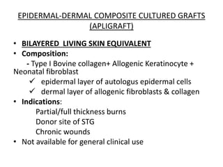 EPIDERMAL-DERMAL COMPOSITE CULTURED GRAFTS
(APLIGRAFT)
• BILAYERED LIVING SKIN EQUIVALENT
• Composition:
- Type I Bovine collagen+ Allogenic Keratinocyte +
Neonatal fibroblast
 epidermal layer of autologus epidermal cells
 dermal layer of allogenic fibroblasts & collagen
• Indications:
Partial/full thickness burns
Donor site of STG
Chronic wounds
• Not available for general clinical use
 