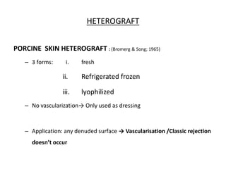 HETEROGRAFT
PORCINE SKIN HETEROGRAFT : (Bromerg & Song; 1965)
– 3 forms: i. fresh
ii. Refrigerated frozen
iii. lyophilized
– No vascularization→ Only used as dressing
– Application: any denuded surface → Vascularisation /Classic rejection
doesn’t occur
 