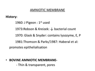 AMNIOTIC MEMBRANE
History:
1960: J Pigeon : 1st used
1973:Robson & Kreizek: ↓ bacterial count
1970: Glask & Snyder: contains lysozyme, E, P
1981:Thomson & Parks/1987: Haberal et al:
promotes epithelialisation
• BOVINE AMNIOTIC MEMBRANE-
- Thin & transparent, pores
 