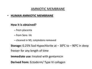 • HUMAN AMNIOTIC MEMBRANE
How it is obtained?
– from placenta
– from Sero -Ve
– cleaned in NS, cotyledons removed
Storage: 0.25% Sod Hypochlorite at – 300C to – 900C in deep
freezer for any length of time
Immediate use: treated with gentamicin
Derived from: Ectoderm/ Type IV collagen
AMNIOTIC MEMBRANE
 
