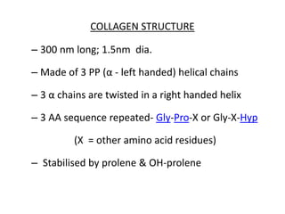COLLAGEN STRUCTURE
– 300 nm long; 1.5nm dia.
– Made of 3 PP (α - left handed) helical chains
– 3 α chains are twisted in a right handed helix
– 3 AA sequence repeated- Gly-Pro-X or Gly-X-Hyp
(X = other amino acid residues)
– Stabilised by prolene & OH-prolene
 
