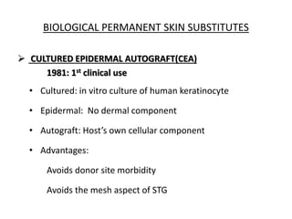 BIOLOGICAL PERMANENT SKIN SUBSTITUTES
 CULTURED EPIDERMAL AUTOGRAFT(CEA)
1981: 1st clinical use
• Cultured: in vitro culture of human keratinocyte
• Epidermal: No dermal component
• Autograft: Host’s own cellular component
• Advantages:
Avoids donor site morbidity
Avoids the mesh aspect of STG
 