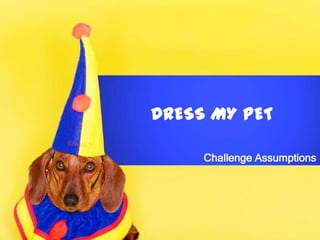 DRESS MY PET
Challenge Assumptions
 