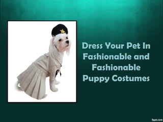 Dress Your Pet In
Fashionable and
  Fashionable
Puppy Costumes
 