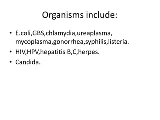Organisms include:
• E.coli,GBS,chlamydia,ureaplasma,
mycoplasma,gonorrhea,syphilis,listeria.
• HIV,HPV,hepatitis B,C,herpes.
• Candida.
 