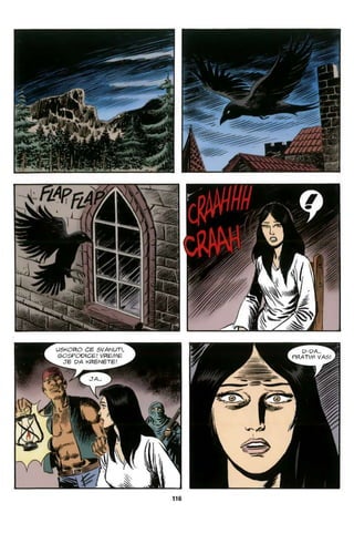 Dr Pr (RS 5) Kol - ZG