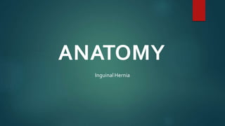 ANATOMY
Inguinal Hernia
 