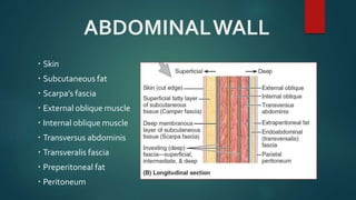 ABDOMINALWALL
 Skin
 Subcutaneous fat
 Scarpa’s fascia
 External oblique muscle
 Internal oblique muscle
 Transversus abdominis
 Transveralis fascia
 Preperitoneal fat
 Peritoneum
 