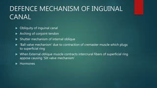 DEFENCE MECHANISM OF INGUINAL
CANAL
 Obliquity of inguinal canal
 Arching of conjoint tendon
 Shutter mechanism of internal oblique
 ‘Ball valve mechanism’ due to contraction of cremaster muscle which plugs
to superficial ring
 When External oblique muscle contracts intercrural fibers of superficial ring
appose causing ‘Slit valve mechanism’
 Hormones
 