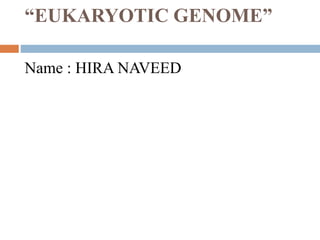 “EUKARYOTIC GENOME”
Name : HIRA NAVEED
 