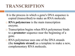 TRANSCRIPTION
It is the process in which a gene's DNA sequence is
copied (transcribed) to make an RNA molecule.
 RNA polymerase is the main transcription
enzyme.
 Transcription begins when RNA polymerase binds
to a promoter sequence near the beginning of a
gene.
 RNA polymerase uses one of the DNA strands
(the template strand) as a template to make a new,
complementary RNA molecule.
 