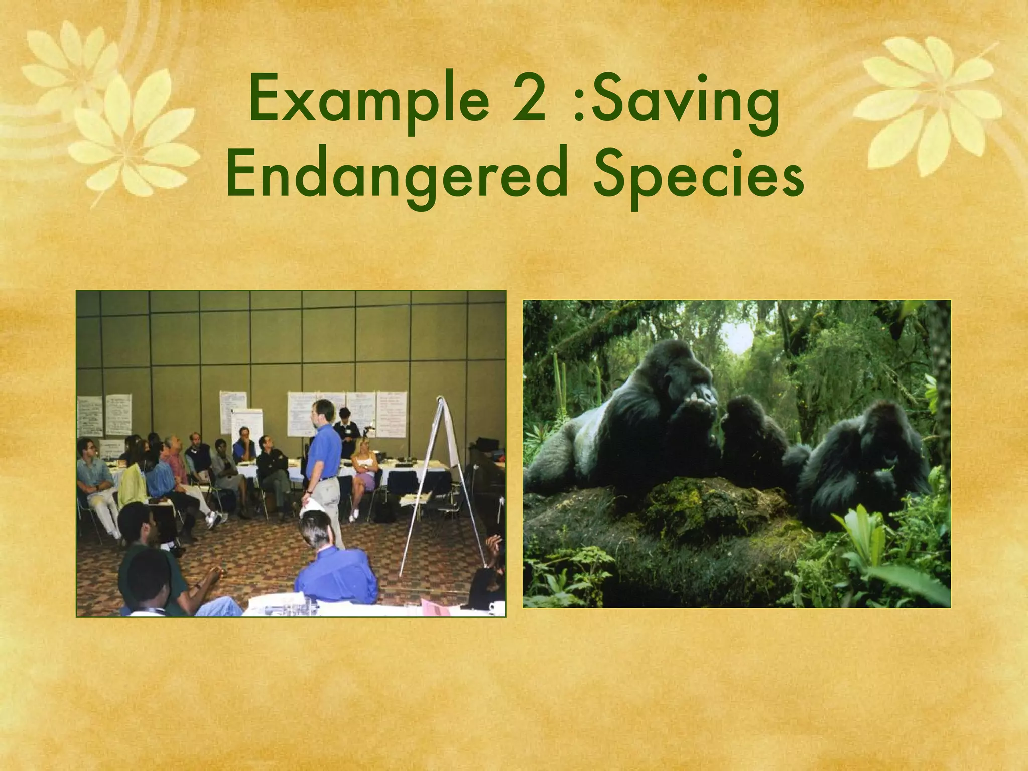 Example 2 :Saving Endangered Species 