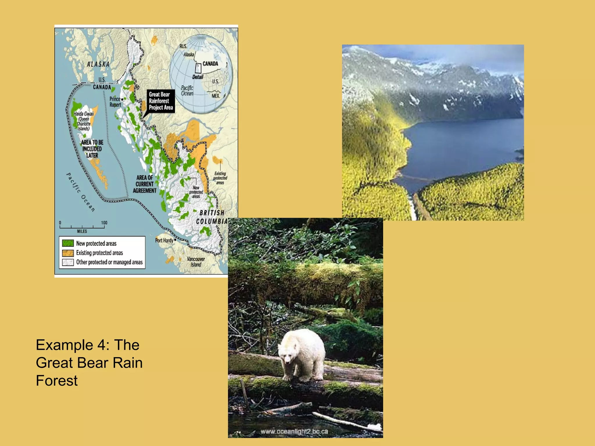 Example 4: The Great Bear Rain Forest 