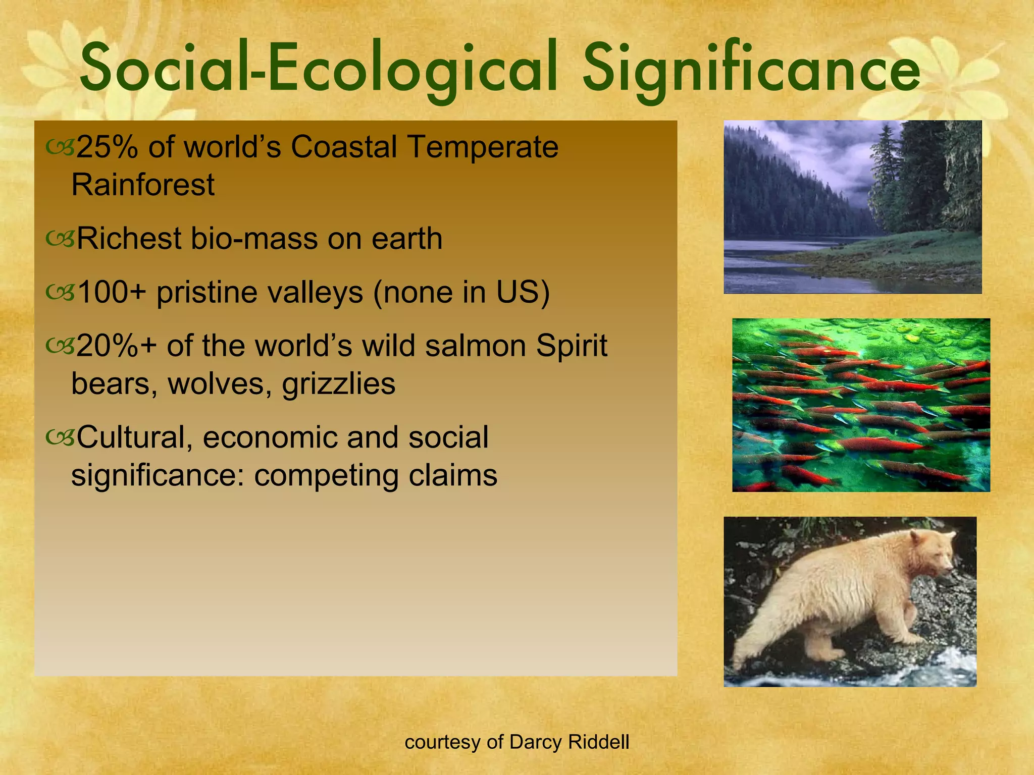 Social-Ecological Significance 25% of world’s Coastal Temperate Rainforest Richest bio-mass on earth 100+ pristine valleys (none in US) 20%+ of the world’s wild salmon Spirit bears, wolves, grizzlies Cultural, economic and social significance: competing claims 