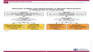 Chronic High Blood Pressure and Cardiovascular Risk (Hypertension) | PPTX