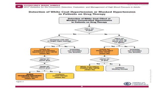 Chronic High Blood Pressure and Cardiovascular Risk (Hypertension) | PPTX