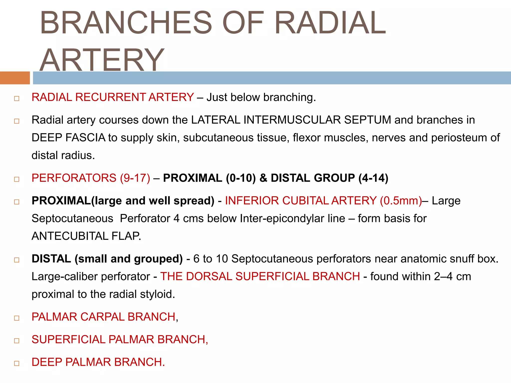 Radial Forearm Flap | PPTX
