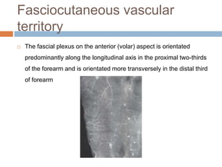 Fasciocutaneous vascular
territory
 The fascial plexus on the anterior (volar) aspect is orientated
predominantly along the longitudinal axis in the proximal two-thirds
of the forearm and is orientated more transversely in the distal third
of forearm
 