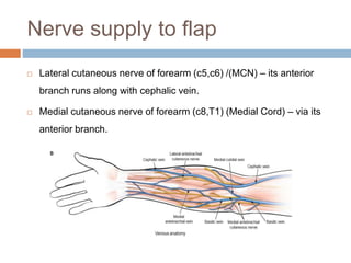 Nerve supply to flap
 Lateral cutaneous nerve of forearm (c5,c6) /(MCN) – its anterior
branch runs along with cephalic vein.
 Medial cutaneous nerve of forearm (c8,T1) (Medial Cord) – via its
anterior branch.
 