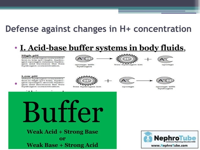 Part I - Normal Acid Base Balance & Metabolic Acid Base Disorders - Dr ...