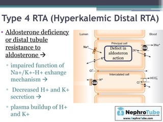 Part I - Normal Acid Base Balance & Metabolic Acid Base Disorders - Dr ...