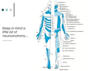 Keep in mind a
little bit of
neuroanatomy…
………
 