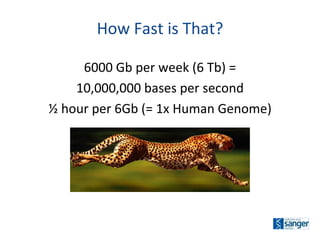 How Fast is That? 6000 Gb per week (6 Tb) = 10,000,000 bases per second ½ hour per 6Gb (= 1x Human Genome) 