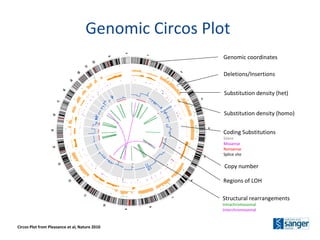 Genomic Circos Plot Circos Plot from Pleasance et al, Nature 2010 Deletions/Insertions Substitution density (het) Substitution density (homo) Coding Substitutions Silent Missense Nonsense Splice site Copy number Regions of LOH Structural rearrangements Intrachromosomal Interchromosomal Genomic coordinates 